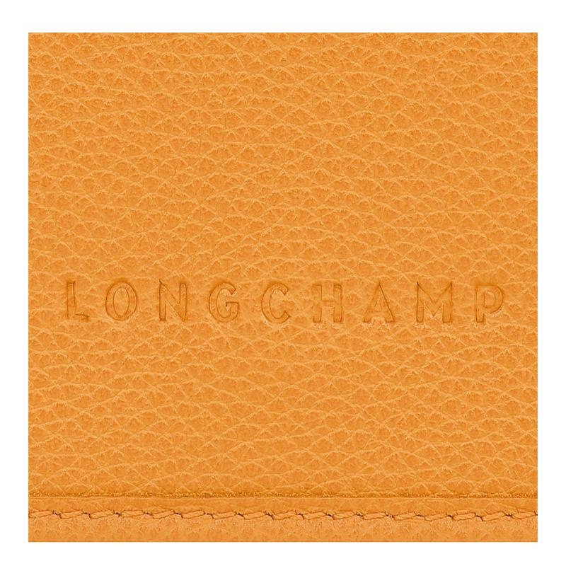 Apricot Orange Longchamp Le Foulonné XS Women's Clutch Purse | COJP-24137